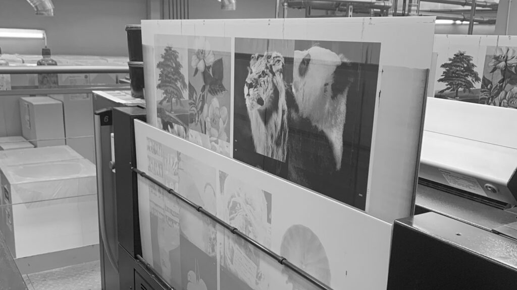 13-Museum-folie-bw